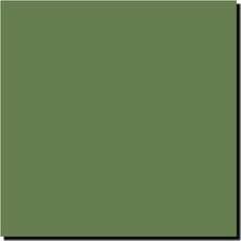 Storemax Models Abd Iç Yeşil Fs 34151, MIOMMP059