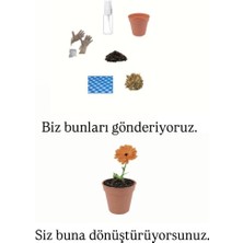 Ekilmeye Hazır Yaşam Seti