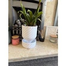 Modern Spiral Tasarımlı Kendinden Altlıklı Saksı
