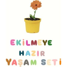 Ekilmeye Hazır Yaşam Seti