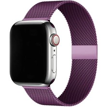 Apple Watch 10/9/8/7/6/5/4/3/se/ultra Serisi Için 49 46 45 44 42MM Paslanmaz Metal Hasır Örgü Kordon