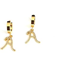 Kadın Çelik Zirkon Taşlı Harf Küpe