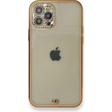 Newface Iphone 12 Pro Kılıf Liva Taşlı Silikon - Pembe Svlrs