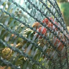 Yeşil Bahçe Örtüsü, Şeritli, Halkalı, %40, 1x1 Metre