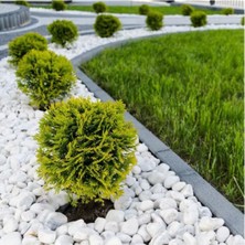 Beyaz Dolomit Taş 2 Kg, 4-6 Cm, Bahçe ve Saksı Dekorasyonu Için Ideal