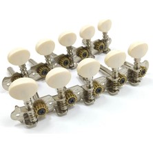 Aiorwel 10 Telli Gitar Akort Burguları Krom Kaplamalı Makine Kafaları 5l 5r Akustik Gitar Enstrümanları Aksesuar Parçası (Yurt Dışından)