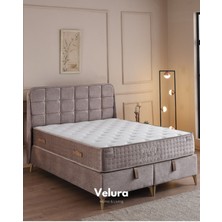 Cozy Tek Kişilik Yatak Baza Başlık Seti (120 x 200)
