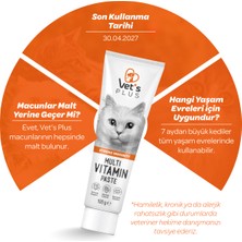 Vet's Plus Multivitamin Malt Macun 100gr (Yetişkin Kediler için Multivitamin Desteği)