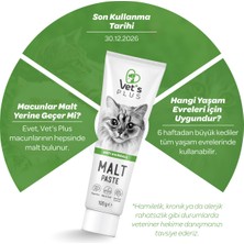 Vet's Plus Anti-Hairball Malt Macun 100gr (Tüy Yumağı Önleyici)