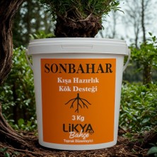 Sonbahar Ağaç Besini