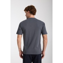 Erkek %100 Pamuk Relax Kaplumbağa Nakışlı T-Shirt