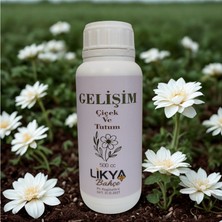 Gelişim Sebze ve Meyve Bitki Besini