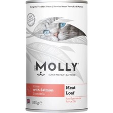 Molly Somonlu Yavru Kedi Konservesi Pate Içeriside Parça Etli 395 gr