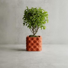 Kapitone Desenli Modern Saksı