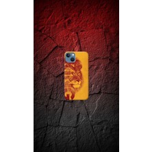 Aslan Desenli Renkli Tasarımı-2 Ip 14