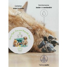 Greenwich Pati Burun Balm 50 ml | Nemlendirici Çatlak Onarım Kremi | Doğal Organik Içerik | Kedi Köpek
