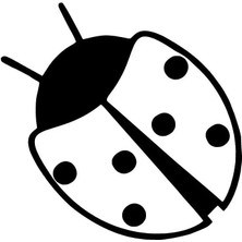 Uğur Böceği - Araç, Oto, Laptop, Duvar Uyumlu Sticker 50*50 cm