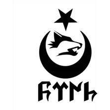 Göktürkçe Türk Kurt Hilal Oto Motor Laptop Duvar Folyo Sticker 25X37 cm