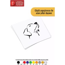 Asil Köpek Sticker Oto Motor Laptop Duvar Folyo Sticker 40 x 36 cm