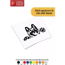 Tatlı Köpek Sticker Oto Motor Laptop Duvar Folyo Sticker 40 x 32 cm