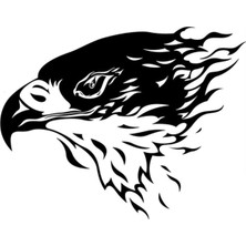 Siyah Kartal Oto Motor Laptop Duvar Folyo Sticker 50 x 35