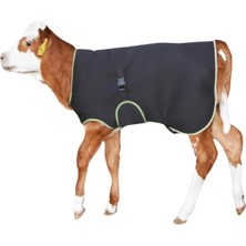 Buzağı Battaniyesi Premium