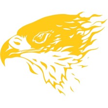 Kartal Araç Ön Kaput Sticker Sarı 60 x 42 cm