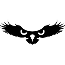 Kartalın Gözleri Sticker (Oto-Motor-Laptop-Duvar-Dekor) 10 x 4 cm