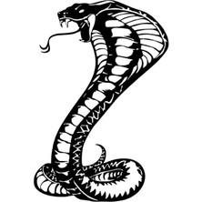 Sinirli Kobra Yılanı - Araç, Oto, Laptop, Duvar Uyumlu Sticker 10*15 cm