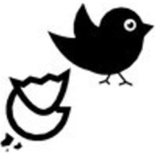 Sevimli Kuş Yumurta Oto Motor Laptop Duvar Folyo Sticker 10 x 9