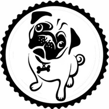 Sevimli Köpek Tasarım 1.model Sticker 10 x 10 cm