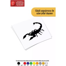 Akrep - Araç, Oto, Laptop, Duvar Uyumlu Sticker 20*18 cm