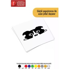 Camdan Bakan Köpek - Araç, Oto, Laptop, Duvar Uyumlu Sticker 50*25 cm