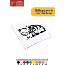 Uyuyan Kedi - Araç, Oto, Laptop, Duvar Uyumlu Sticker 30*24 cm