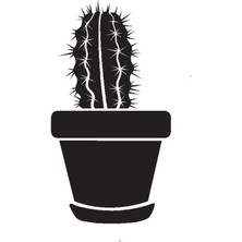 Saksı Çiçeği Kaktüs Model 5 Oto Sticker 20 x 34 cm Aracınıza Yeni Bir Tarz Katın MISS-774