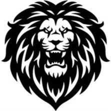 Aslan Tasarımlı Yapışkan Arma Araç&motor&dekor 10 x 10 cm