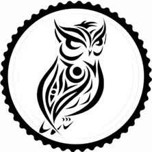 Baykuş Tasarım Sticker 10 x 10 cm