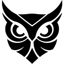 Baykuş Oto Özel Yeni Sticker Siyah 30 x 30 cm