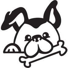 Köpek ve Kemik Duvar Dekor Sticker 40 x 40 cm