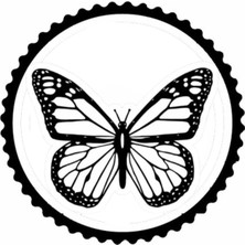 Kelebek Tasarım Sticker 10 x 10 cm