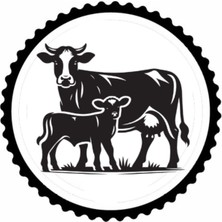 Inek ve Yavrusu Tasarım Sticker 20 x 20 cm