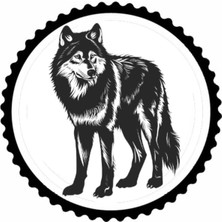 Kurt Tasarım 3.model Sticker 20 x 20 cm