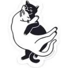 Aşık Kediler (Oto-Motor-Laptop-Dekor) Sticker 20 x 18 cm