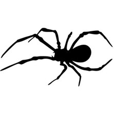 Örümcek Duvar Dekor Sticker 40 x 20 cm