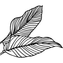 Modern Yapraklar Sticker Oto Motor Laptop Duvar Folyo Sticker 15X12 cm