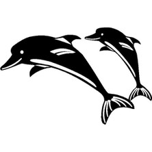 Yunus Balığı Ailesi Oto Motor Laptop Duvar Folyo Sticker 50X30 cm