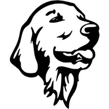 Goldenretriever Sticker Oto Motor Laptop Duvar Folyo Sticker 25X30 cm