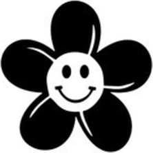 Gülen Papatya Tasarımlı Oto Sticker Siyah 15 x 15 cm