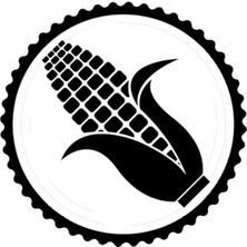 Mısır 1.model Tasarım Sticker 10 x 10 cm