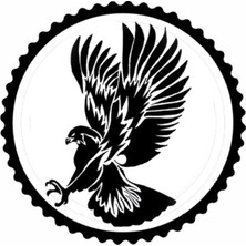 Kartal Tasarım 8.model Sticker 30 x 30 cm